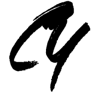 custom_website